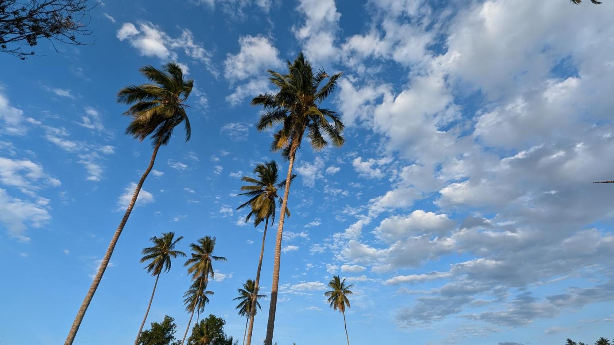 Villa Adelina Zanzibar Dış mekan fotoğraf